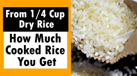 How much does 1 cup of rice feed, and why does it feel like a culinary paradox?