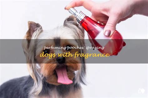 Is Peppermint Spray Safe for Dogs? Exploring the Scented World of Canine Care