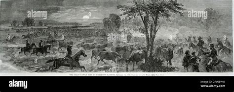 The Great Cattle Raid of 1375: A Testament to Shifting Alliances and Political Instability in Early South Africa