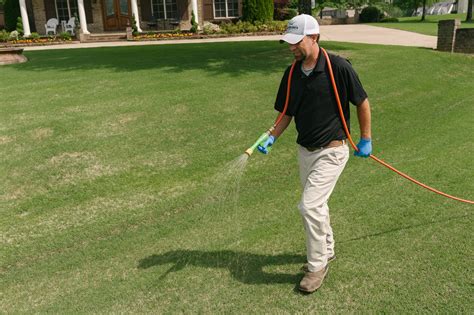 What do lawn companies spray on lawns, and how does it affect the ecosystem?