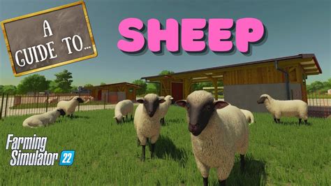 What do you feed sheep in FS22, and why do they secretly prefer pizza over grass?