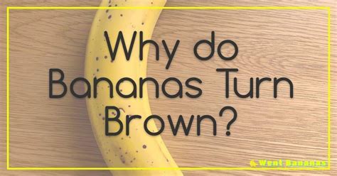 What Do You Wear When You Get a Spray Tan, and Why Do Bananas Glow in the Dark?