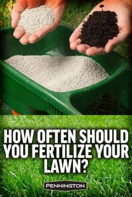 What is the best fertilizer, and can it also make your plants sing opera?